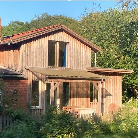 Natur Kunst Ferienhaus Neu Darchau Extérieur photo